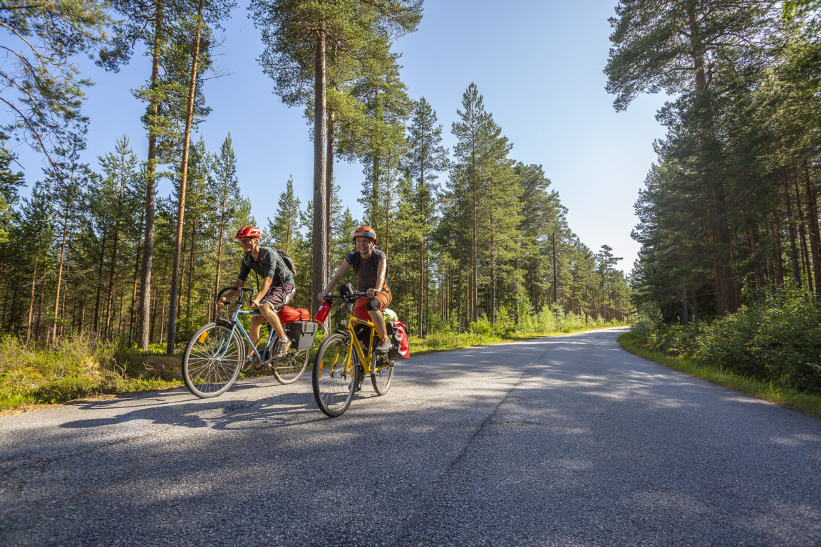 Två cyklister på en väg som går genom skogen