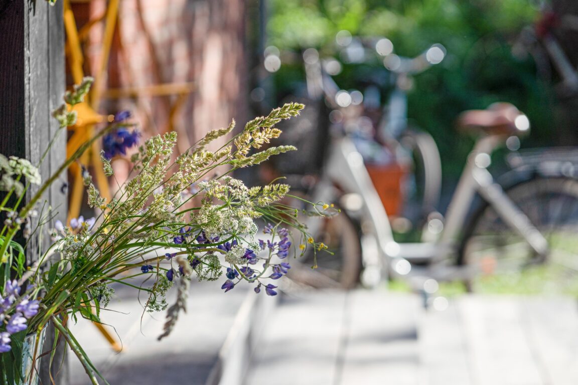 Sommarblommor i närbild framför Café Pesula i Fiskars