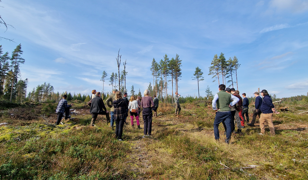 Människor står i skogen och diskuterar vattenvård.